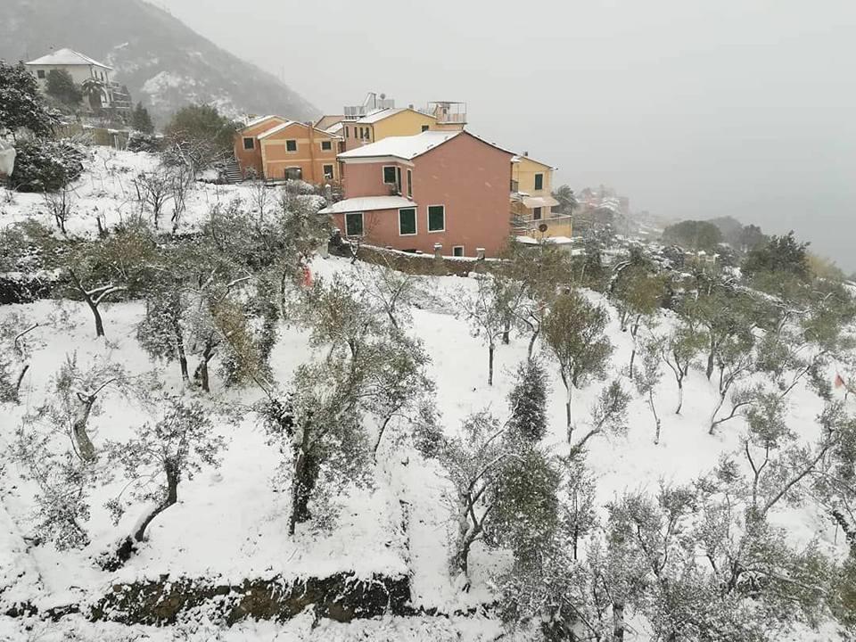 Perla Del Levante Hostel Framura Exterior foto